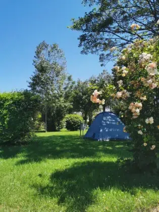 Accueil 10 00000899706