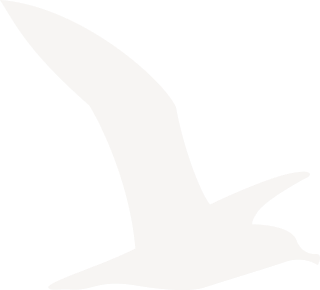 Accueil 4 deco oiseau