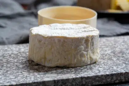 Gastronomie 3 webp gastronomie